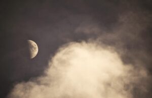 Concours : la nuit des révélations